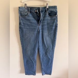 American Eagle Outfitters High Rise Blue Jeans